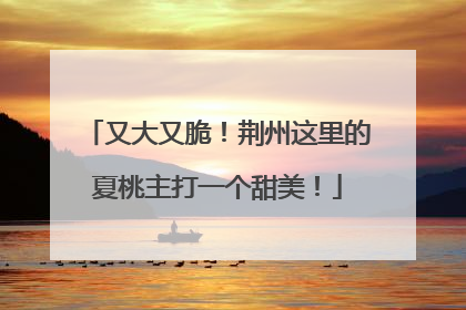 又大又脆！荆州这里的夏桃主打一个甜美！
