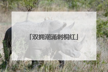 双拥潮涌刺桐红