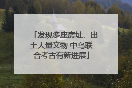 发现多座房址、出土大量文物 中乌联合考古有新进展