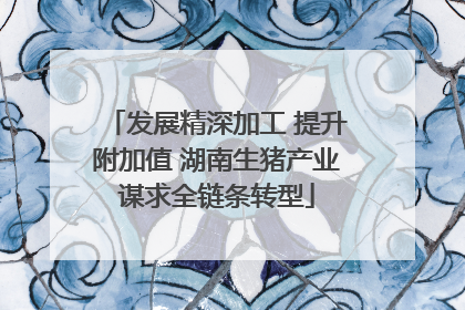 发展精深加工 提升附加值 湖南生猪产业谋求全链条转型