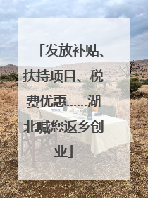 发放补贴、扶持项目、税费优惠……湖北喊您返乡创业