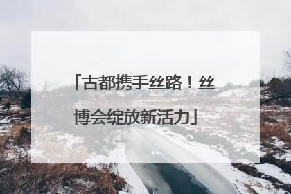 古都携手丝路！丝博会绽放新活力