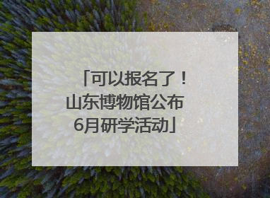 可以报名了！山东博物馆公布6月研学活动