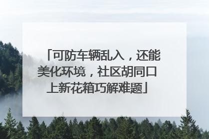 可防车辆乱入，还能美化环境，社区胡同口上新花箱巧解难题