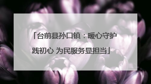 台前县孙口镇：暖心守护践初心 为民服务显担当