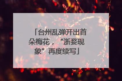 台州乱弹开出首朵梅花，“浙婺现象”再度续写