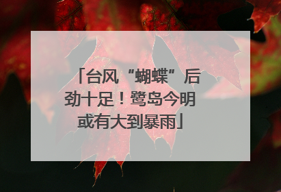 台风“蝴蝶”后劲十足！鹭岛今明或有大到暴雨