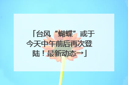 台风“蝴蝶”或于今天中午前后再次登陆！最新动态→