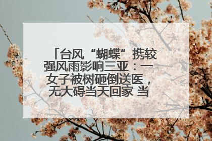 台风“蝴蝶”携较强风雨影响三亚：一女子被树砸倒送医，无大碍当天回家 当地已紧急清障