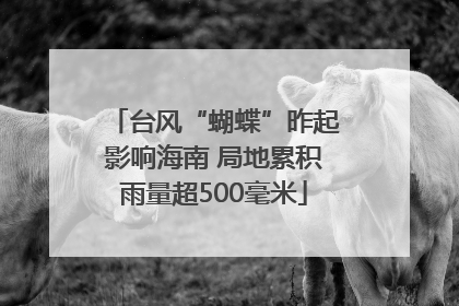 台风“蝴蝶”昨起影响海南 局地累积雨量超500毫米