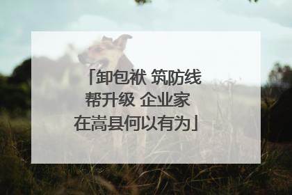 卸包袱 筑防线 帮升级 企业家在嵩县何以有为