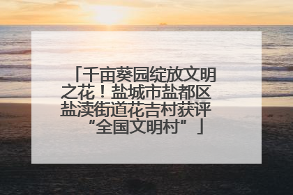 千亩葵园绽放文明之花！盐城市盐都区盐渎街道花吉村获评“全国文明村”