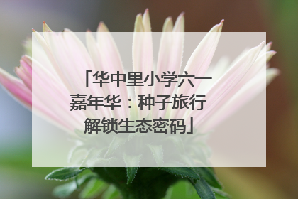 华中里小学六一嘉年华：种子旅行解锁生态密码