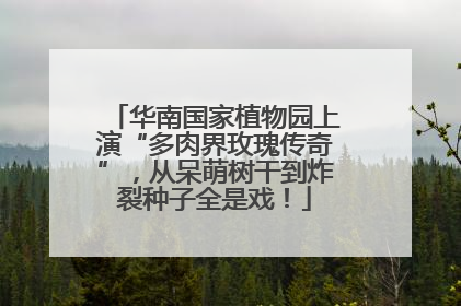 华南国家植物园上演“多肉界玫瑰传奇”，从呆萌树干到炸裂种子全是戏！