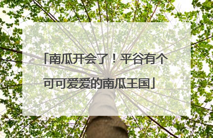 南瓜开会了！平谷有个可可爱爱的南瓜王国