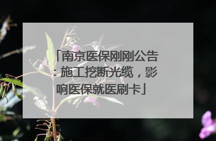 南京医保刚刚公告：施工挖断光缆，影响医保就医刷卡