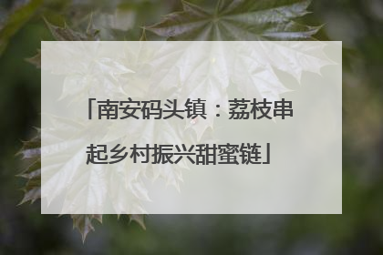 南安码头镇：荔枝串起乡村振兴甜蜜链