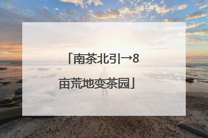 南茶北引→8亩荒地变茶园