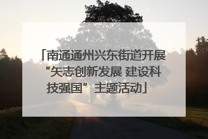 南通通州兴东街道开展“矢志创新发展 建设科技强国”主题活动