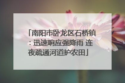 南阳市卧龙区石桥镇：迅速响应强降雨 连夜疏通河道护农田