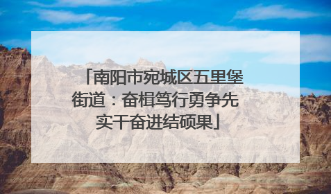 南阳市宛城区五里堡街道：奋楫笃行勇争先 实干奋进结硕果