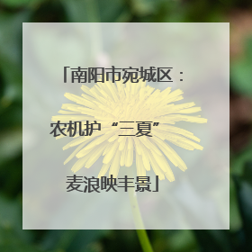南阳市宛城区：农机护“三夏” 麦浪映丰景