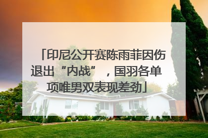 印尼公开赛陈雨菲因伤退出“内战”，国羽各单项唯男双表现差劲