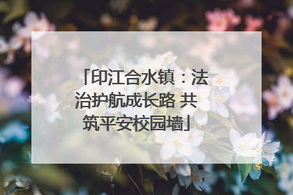 印江合水镇：法治护航成长路 共筑平安校园墙