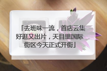 去班味一流，首店云集好逛又出片，天目里国际街区今天正式开街