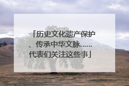 历史文化遗产保护、传承中华文脉……代表们关注这些事