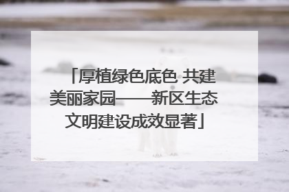 厚植绿色底色 共建美丽家园——新区生态文明建设成效显著