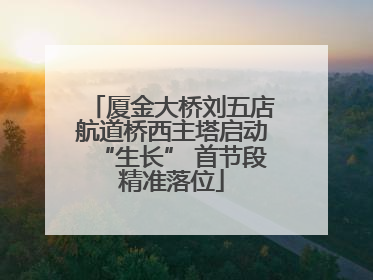 厦金大桥刘五店航道桥西主塔启动“生长” 首节段精准落位
