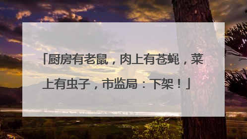 厨房有老鼠，肉上有苍蝇，菜上有虫子，市监局：下架！
