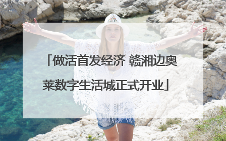 做活首发经济 赣湘边奥莱数字生活城正式开业