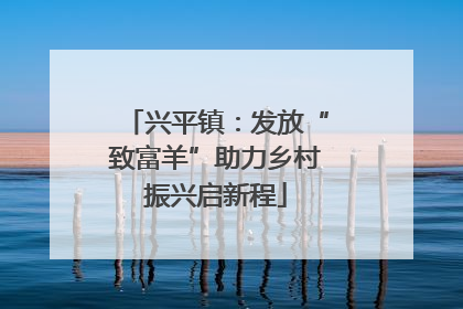兴平镇：发放“致富羊”助力乡村振兴启新程