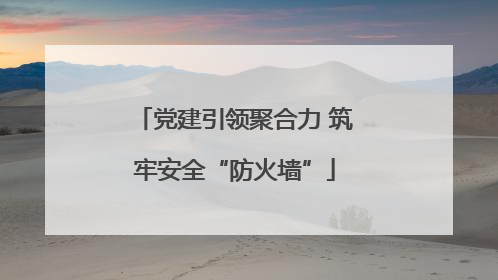 党建引领聚合力 筑牢安全“防火墙”