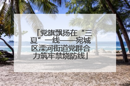 党旗飘扬在“三夏”一线——宛城区溧河街道党群合力筑牢禁烧防线