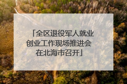 全区退役军人就业创业工作现场推进会在北海市召开
