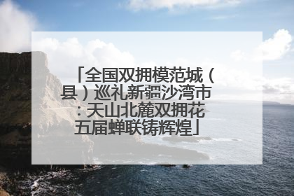 全国双拥模范城（县）巡礼新疆沙湾市：天山北麓双拥花 五届蝉联铸辉煌