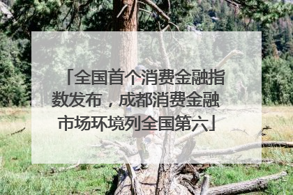 全国首个消费金融指数发布，成都消费金融市场环境列全国第六