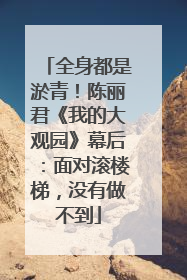 全身都是淤青！陈丽君《我的大观园》幕后：面对滚楼梯，没有做不到