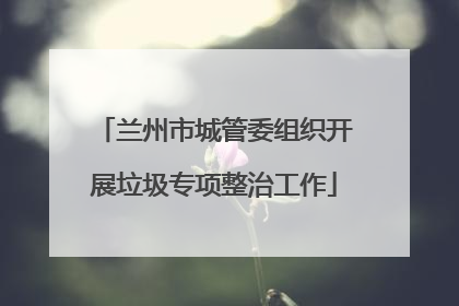兰州市城管委组织开展垃圾专项整治工作