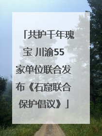 共护千年瑰宝 川渝55家单位联合发布《石窟联合保护倡议》