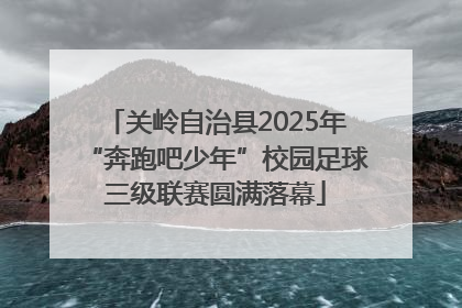 关岭自治县2025年“奔跑吧少年”校园足球三级联赛圆满落幕