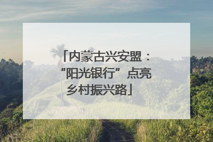 内蒙古兴安盟：“阳光银行”点亮乡村振兴路