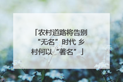 农村道路将告别“无名”时代 乡村何以“著名”