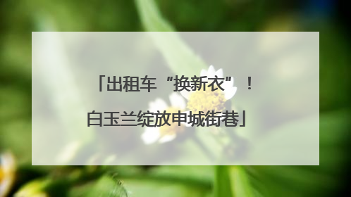 出租车“换新衣”！白玉兰绽放申城街巷