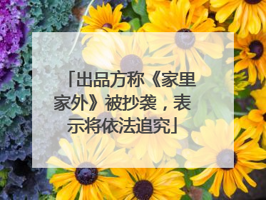 出品方称《家里家外》被抄袭，表示将依法追究