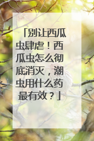 别让西瓜虫肆虐！西瓜虫怎么彻底消灭，潮虫用什么药最有效？