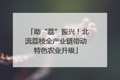 助“荔”振兴！北流荔枝全产业链带动特色农业升级